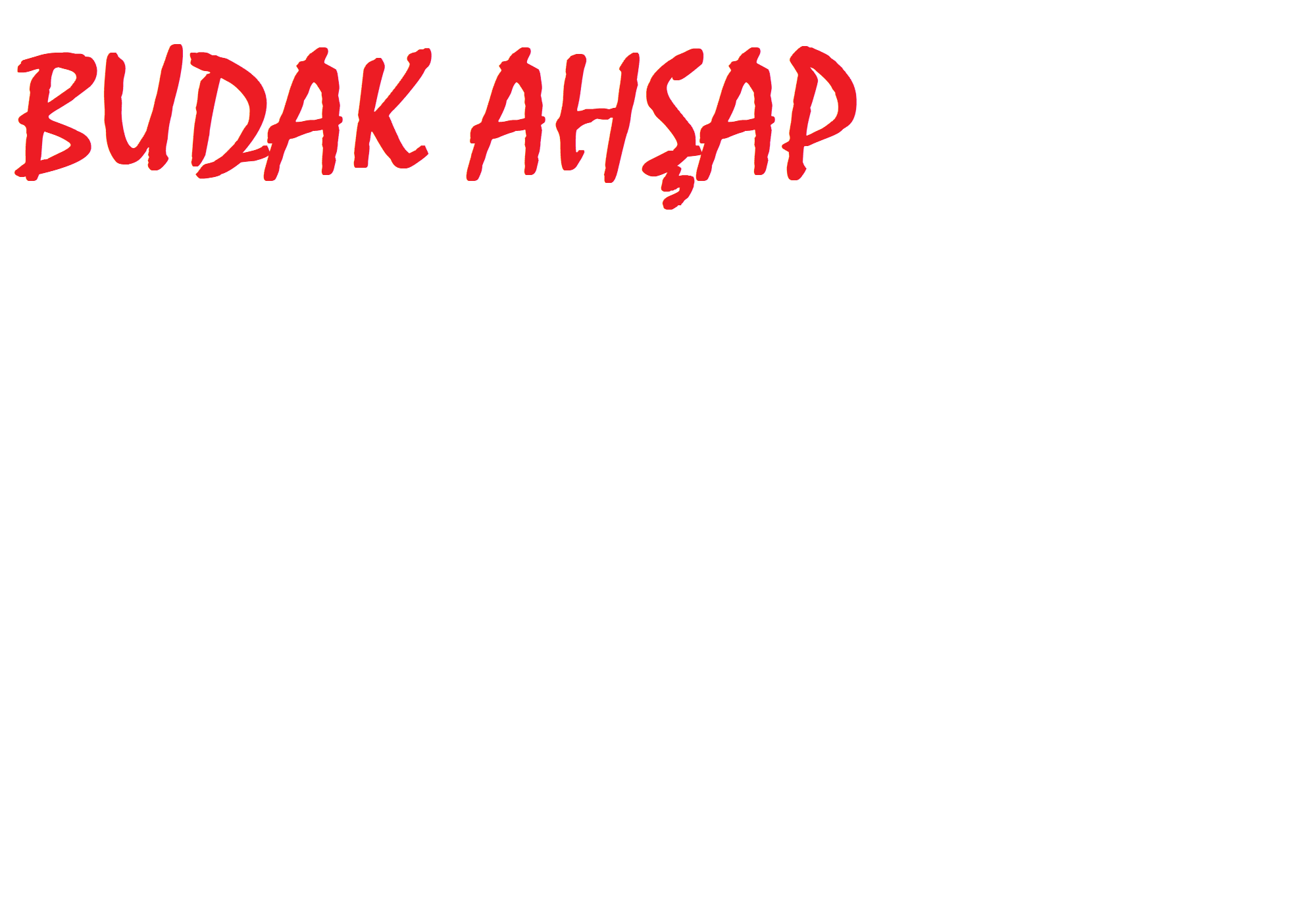 Budak Ahşap